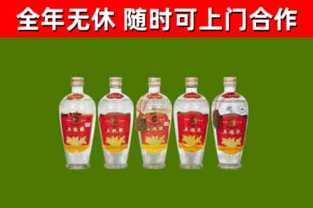 酒泉回收老五粮液